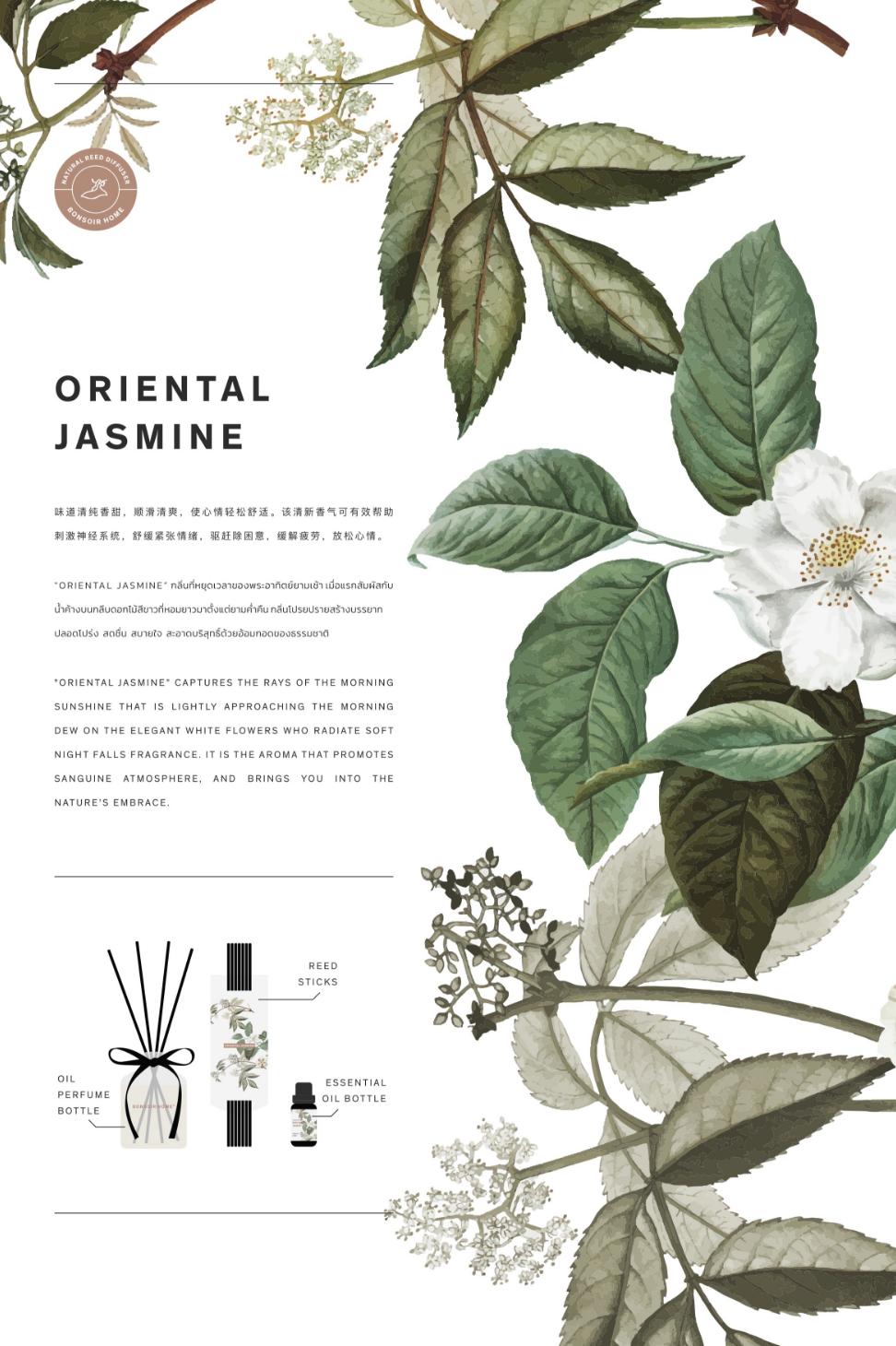 oriental-jasmine.webp